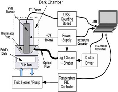Auto-luminescence in seedlings: possible indicators for the gravimetric tide?